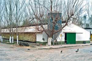 Commercial Poultry Barn